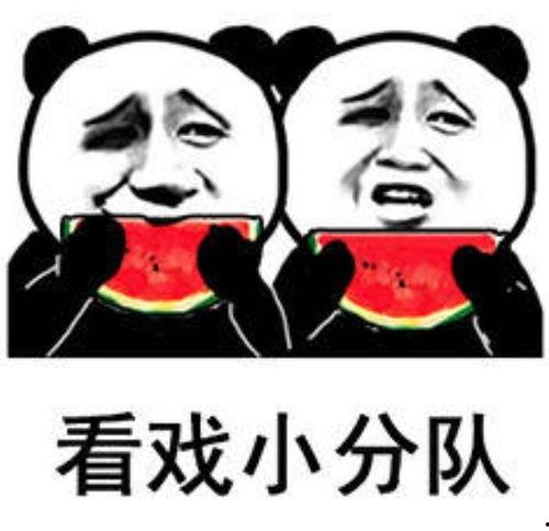 娱乐圈吃瓜表情包